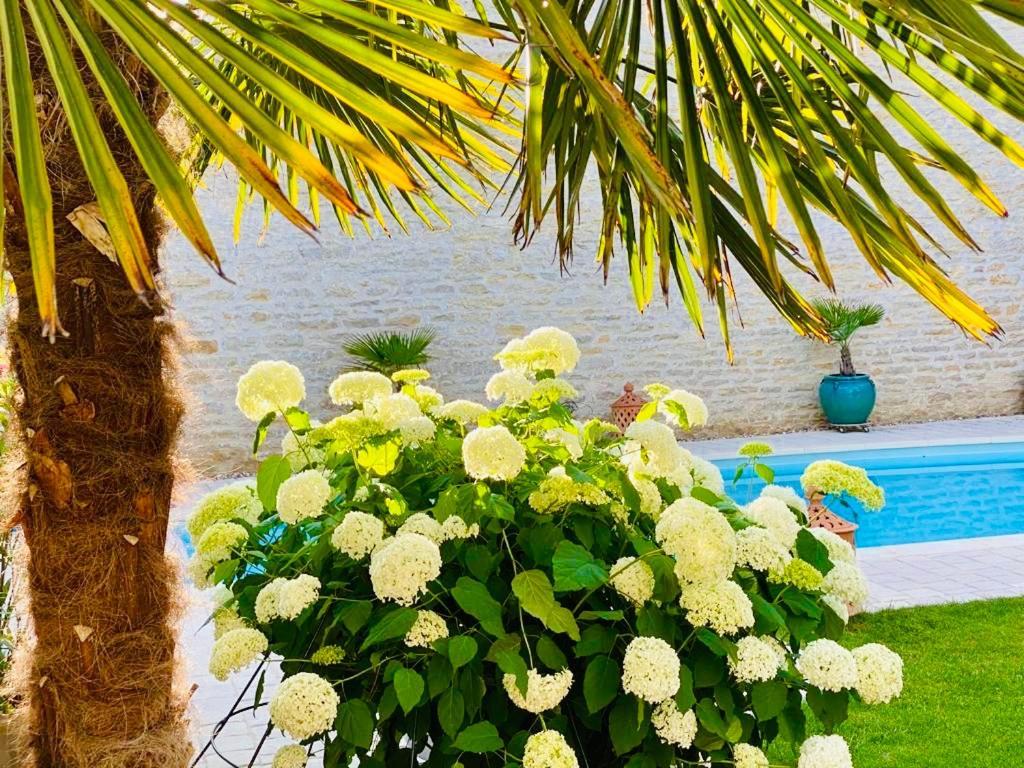 "Le Jardin" Chambre De Charme, Piscine A เมอโซล ภายนอก รูปภาพ